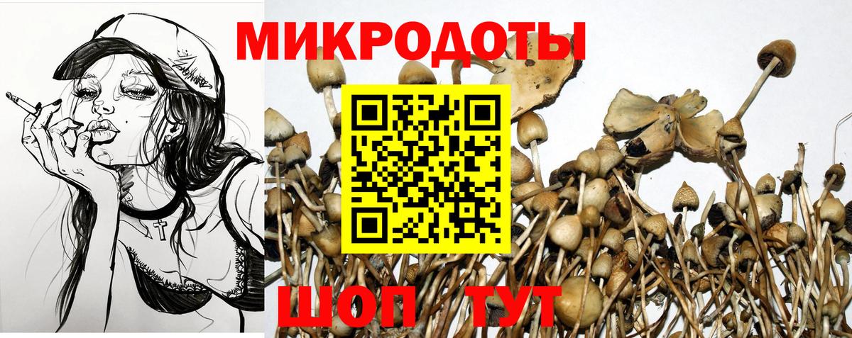 Галлюциногенные грибы ЛСД Волгодонск